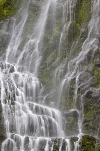 Oregon, Willamette NF View of Proxy Falls